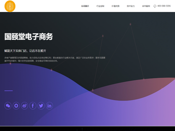 国颐堂电子商务