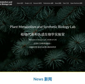Plant