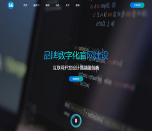 上海网站制作