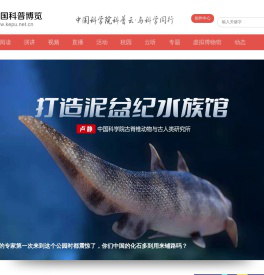 新浪网