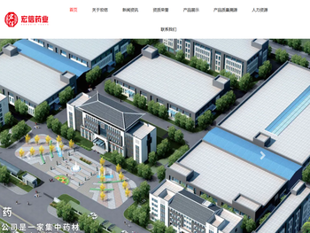 安徽宏信药业发展有限公司