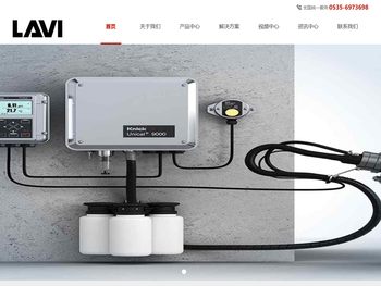 朗维（山东）工业技术有限公司