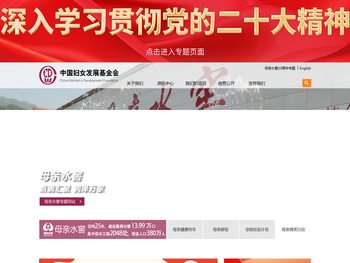 中国妇女发展基金会