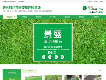 安徽百慕大丨马尼拉丨果岭草丨狗牙根丨高羊茅丨早熟禾丨混播黑麦草草坪丨寿县双桥镇景盛草坪种植场