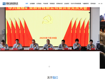 藏格矿业股份有限公司