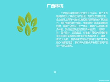 广西超森网络科技有限公司
