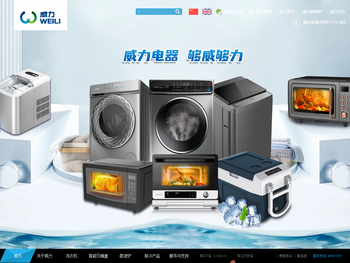 广东威力电器有限公司