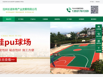 体育场地材料厂家,塑胶跑道材料价格,体育场地施工,河北塑胶跑道施工厂家