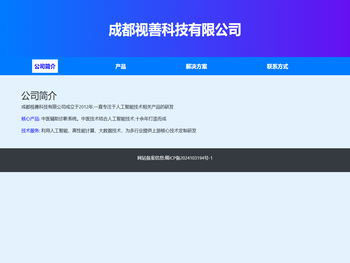 成都视善科技有限公司