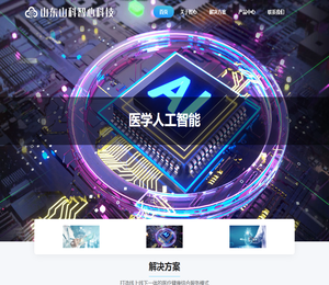 山东山科智心科技有限公司