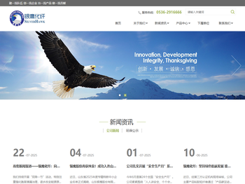 银鹰化纤有限公司