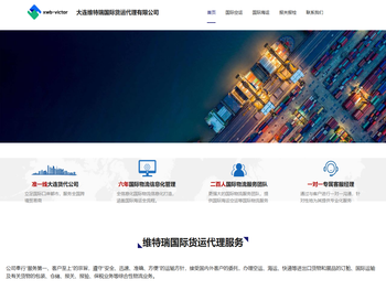 维特瑞国际货运