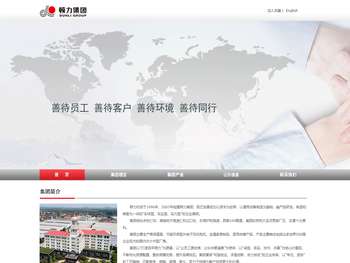 顿力集团有限公司