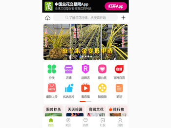 中国兰花交易网