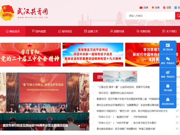 共青团武汉市委员会