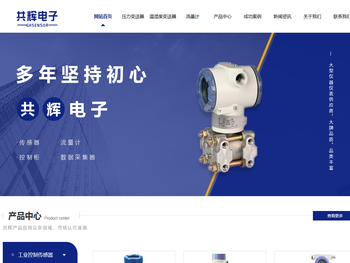 昆仑海岸变送器