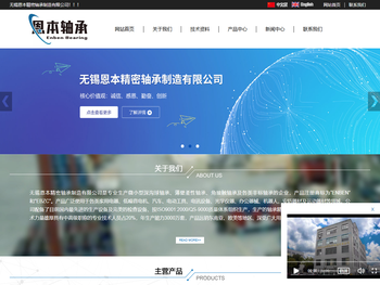 筋膜枪电机专用轴承