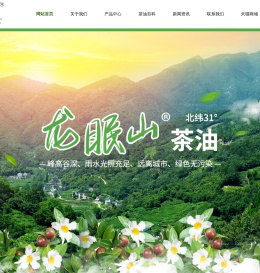 安徽龙眠山健康产业股份有限公司