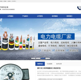 天长市恩赛斯仪表