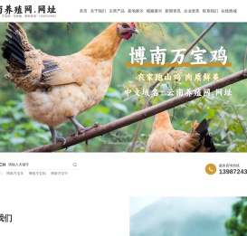 永平县万宝山养鸡专业合作社