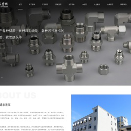 余姚市通泰液压管件厂,公制过渡接头,英制过渡接头,美制过渡接头,SAE矿用快速接头,单向阀
