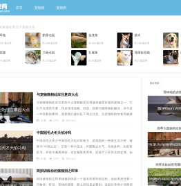 乐宠网