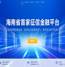 海南征信平台