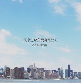 北京进成贸易有限公司