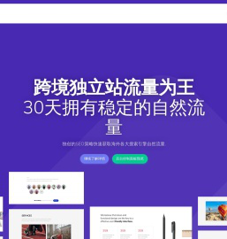 外贸独立站