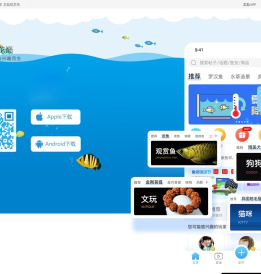 龙巅