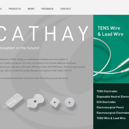 韩洁电子科技有限公司CATHAY