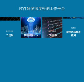 软件研发深度检测工作平台