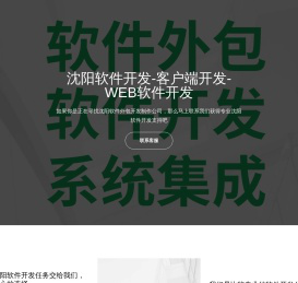 沈阳软件外包公司
