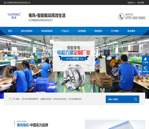 交流电机,直流电机,直流电机厂家,家用电器电机