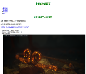 小王的测试网页