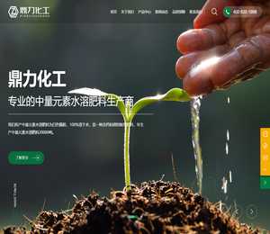 山西鼎力化工股份有限公司