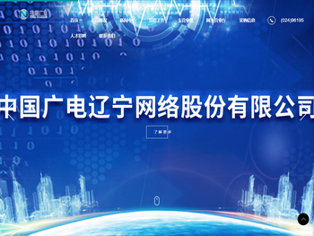 中国广电辽宁网络股份有限公司