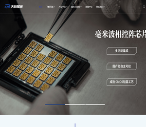 成都天锐星通科技股份有限公司【官网】