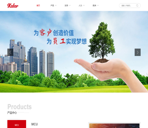 无锡凯徕微电子有限公司