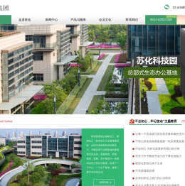 江苏苏化集团有限公司