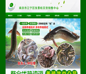 南京市江宁区张景松百货销售中心