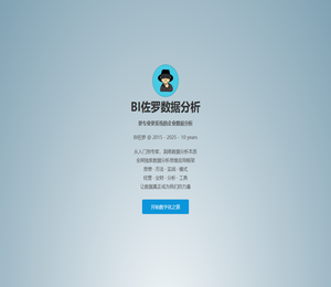 BI佐罗数据分析