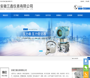 安徽三鑫仪表有限公司