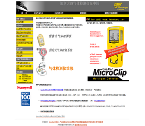 加拿大BW气体检测仪