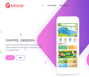 APP开发公司