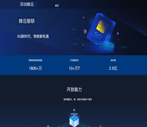 深圳蜂迅通信有限公司