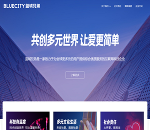BlueCity蓝城兄弟