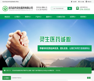 驻马店市灵生医药有限公司