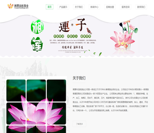 湘潭远航莲业有限公司