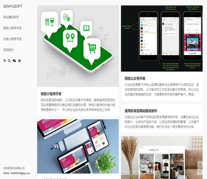 微信小程序开发｜抖音小程序开发｜网站建设制作｜就选森昱科技